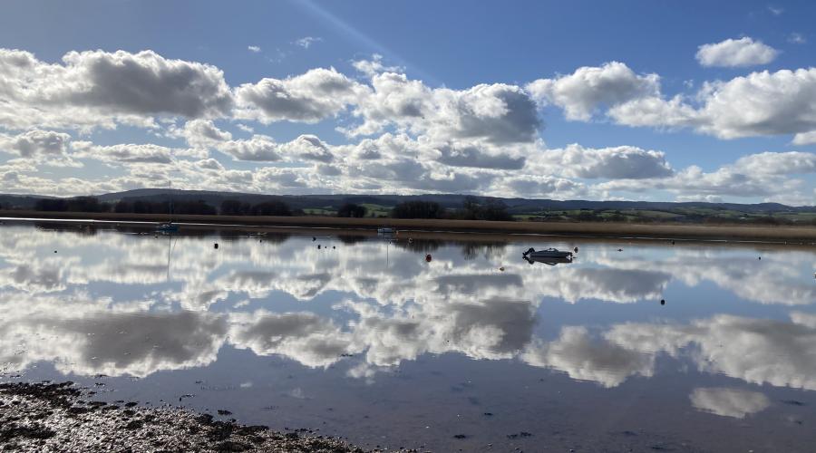 The estuary