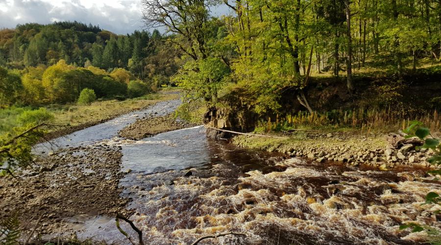 Allen Banks River Allen Wood Northumberland Taken by Markster