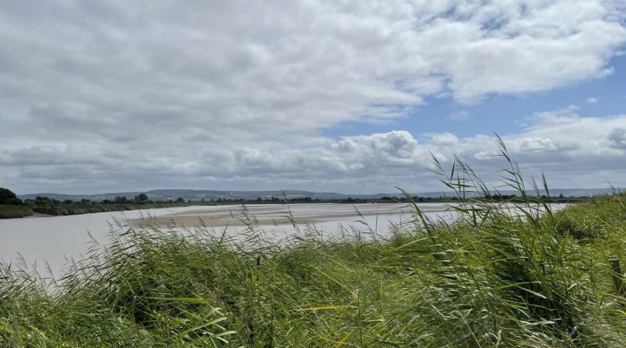 Bank of the Severn