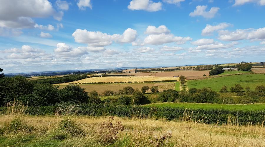 Branxton Flodden Field Memorial Looking Towards King's Stone Taken By Markster
