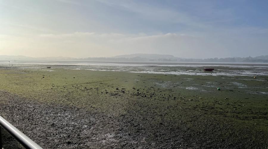 Lympstone