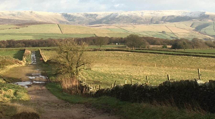 Kinder Edge view