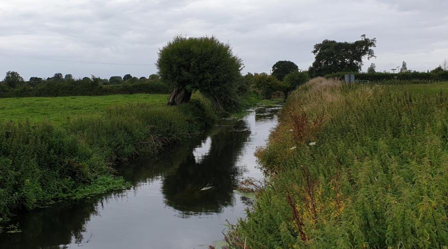 The Congresbury Yeo traveling from Wrington