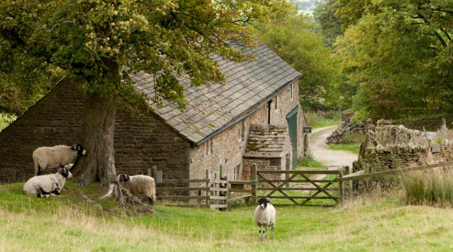 Dalehead Bunkhouse Exterior