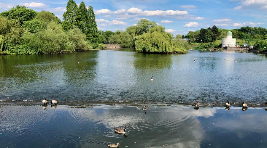 River Derwent, Derby city