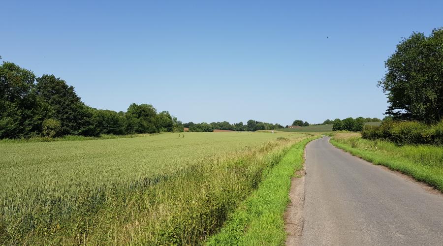 Essex Duddenhow End Approach