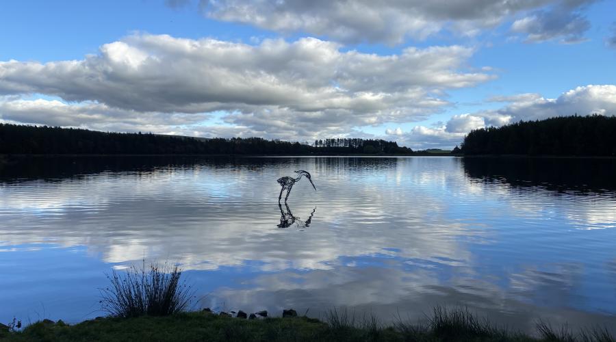 WaderReflection