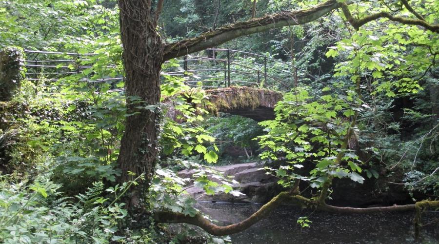 Footbridge over river Goyt