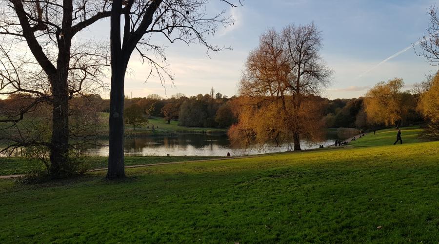 Hampstead Heath