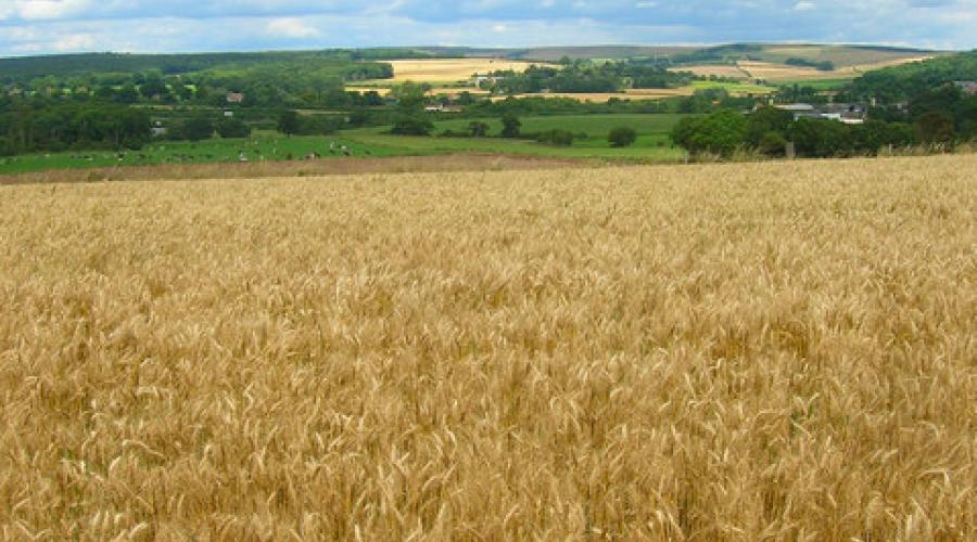 View North from Highdown Hill