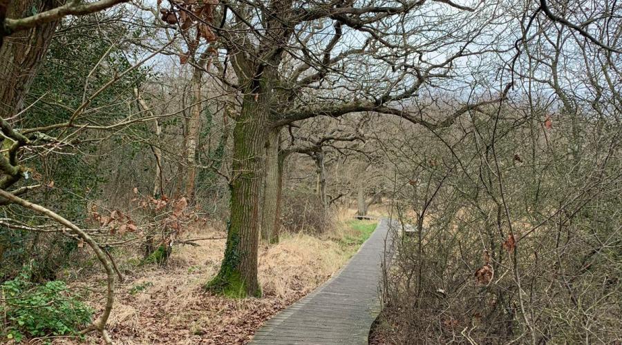 Path from Beaulieu to Bucklers Hard