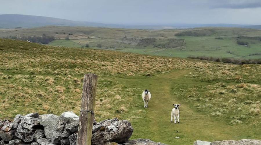 Drystone wall crossing