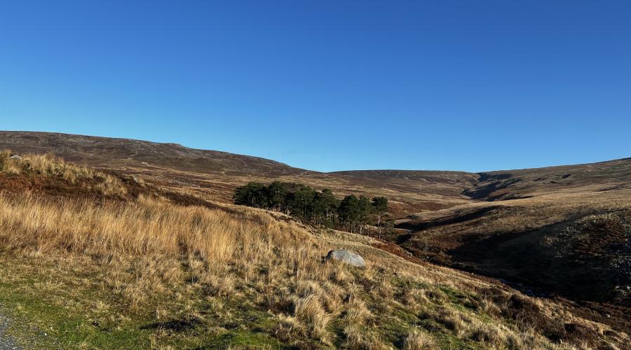 Tarnbrook Fell