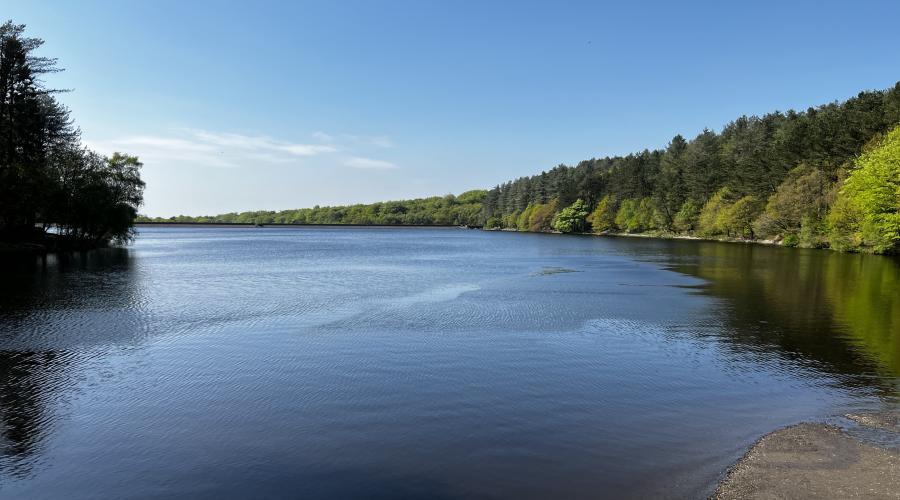 Higher Roddlesworth Reservoir