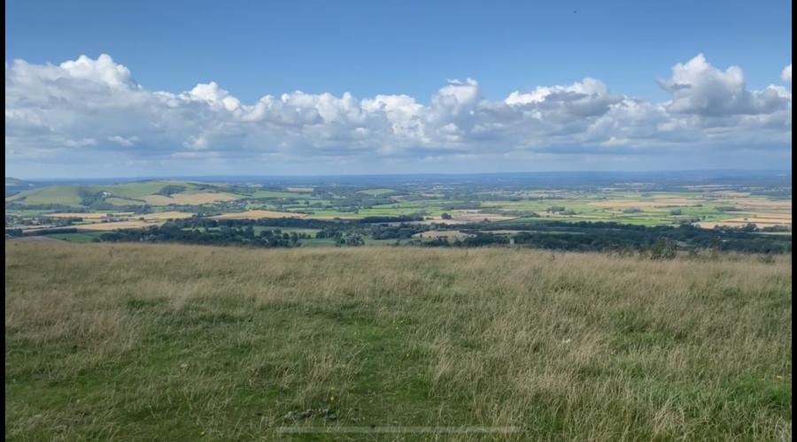 View of the downs