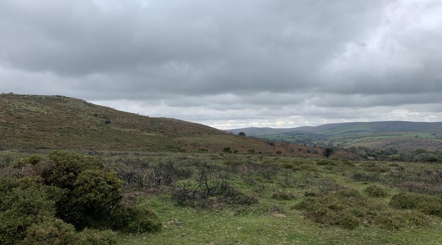 Dartmoor