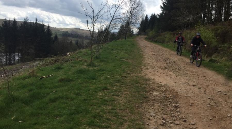 Forest track Goyt Valley
