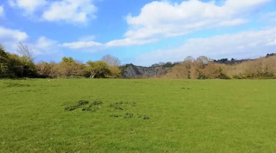 Field overlooking Dyserth Quarry