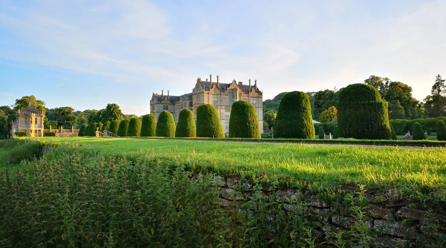 Montacute House and Gardens