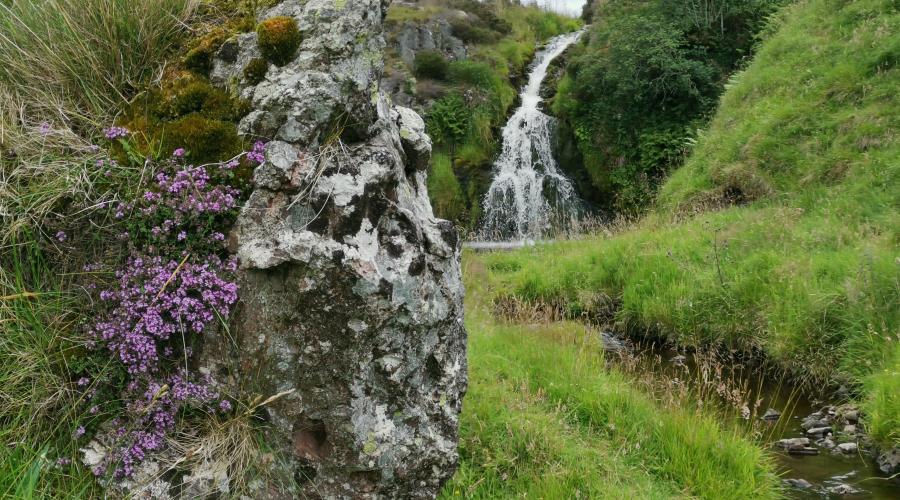 Davison's Linn (waterfall) 