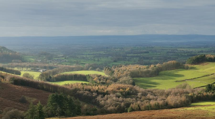 Moorland view