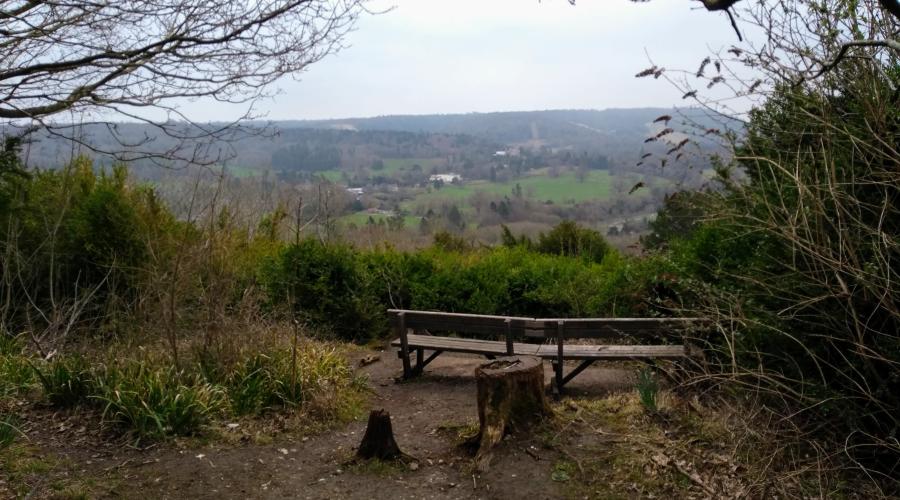 Surrey Hills view