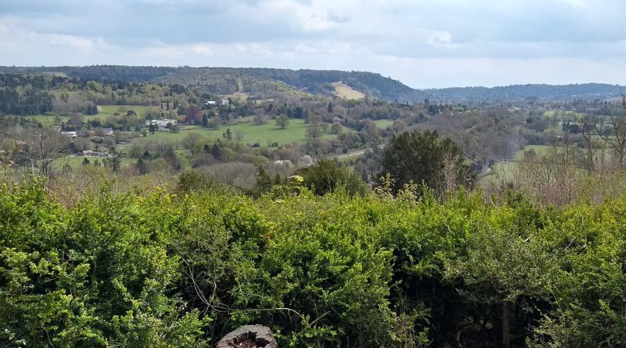 Surrey Hills view
