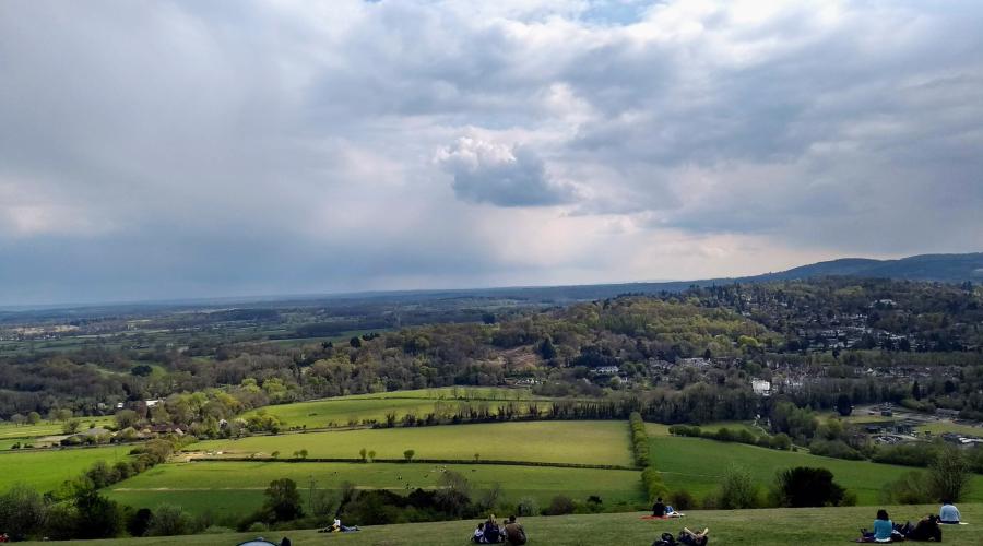 Leith Hill view