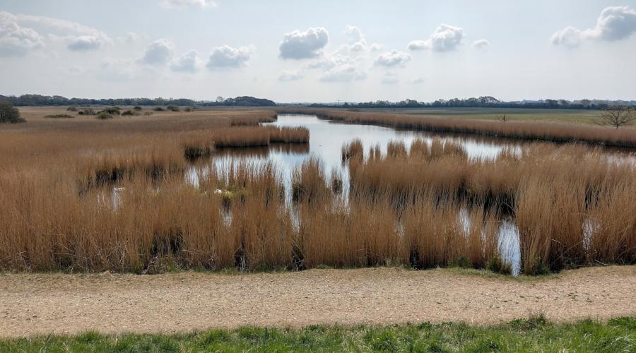 Thorney Island