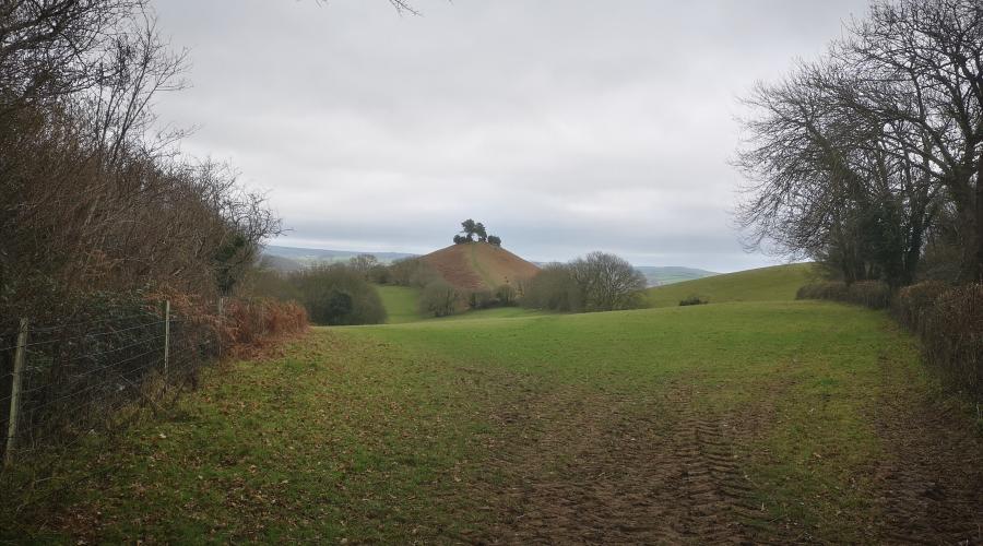 Colmer Hill