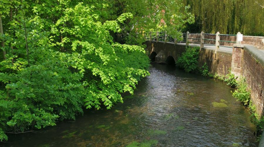 River Darent