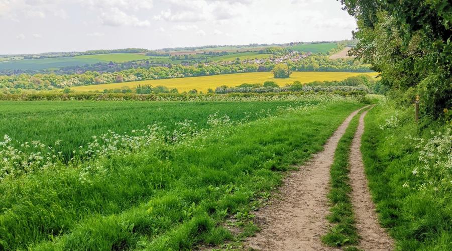 Darent Valley general view