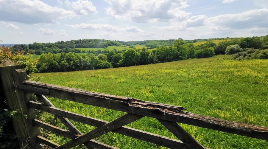 Darent Valley general view