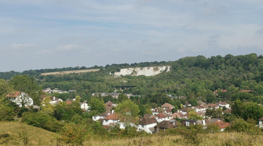 Chalk pits