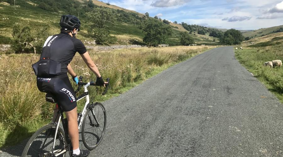 David in the Dales