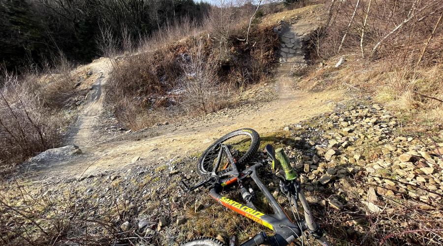 Odd Sox berms