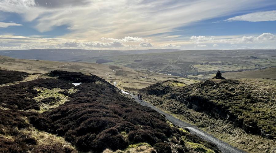 View from Bolt's Law