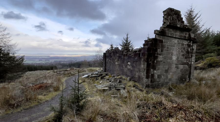 Walk up from Falkland to the palace