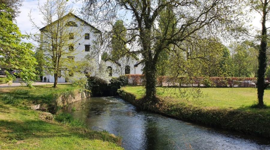 Kelvedon - Grey Mill