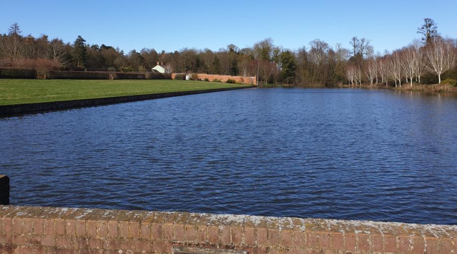 Lake at Marks Hall