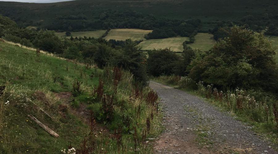 Scenic Road near Llanthony