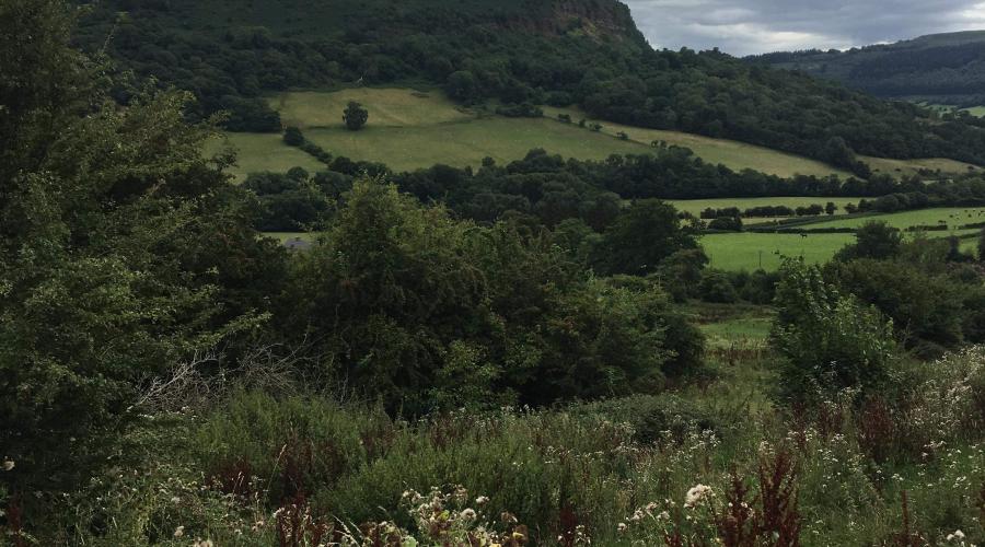 Scenic view at Llanthony