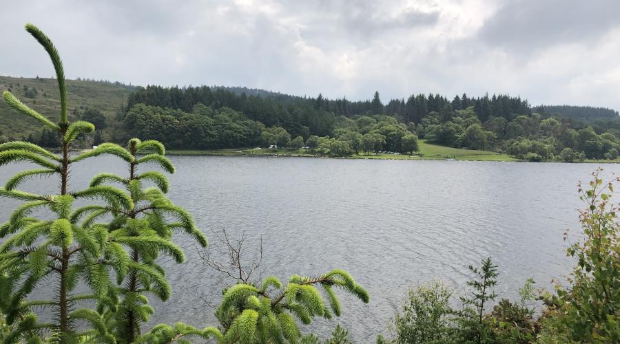 view of the lake