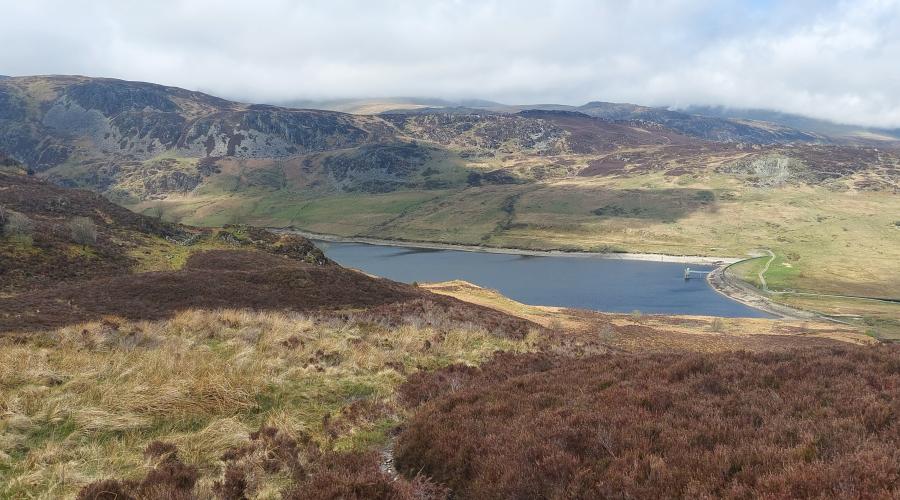 Llyn Cowlyd from High Up