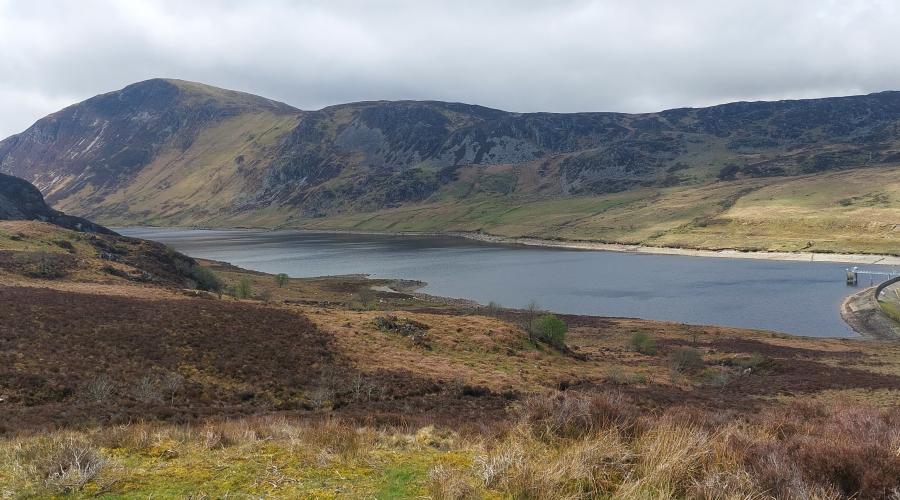 Llyn Colwyd