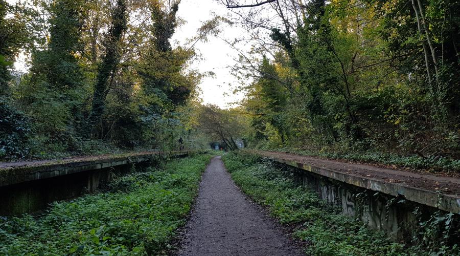 Parkland Walk South