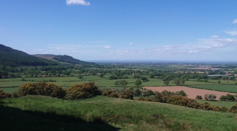 View from footpath over Swainby to Beacon Hill