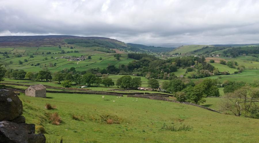 View of Wharfedale pastures