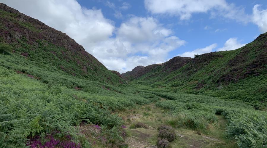 Cwm Bychan Mountain Pass