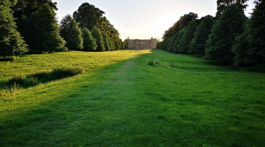 Montacute Park